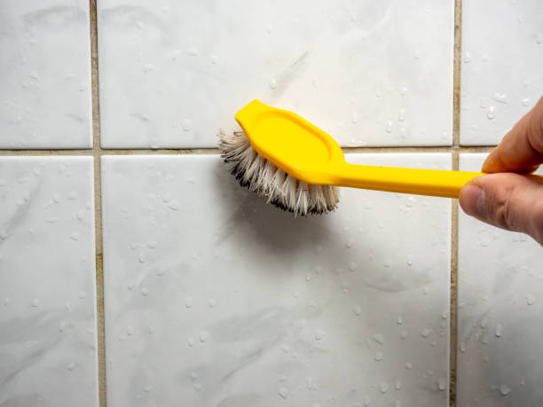 Best Home Mold Removal  in St Regis Park, KY