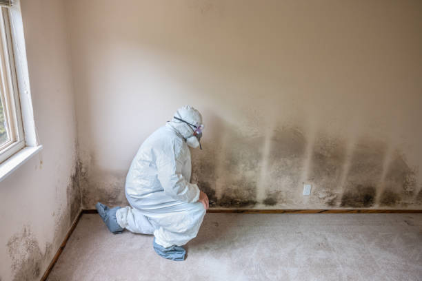 Best Crawl Space Mold Removal  in St Regis Park, KY